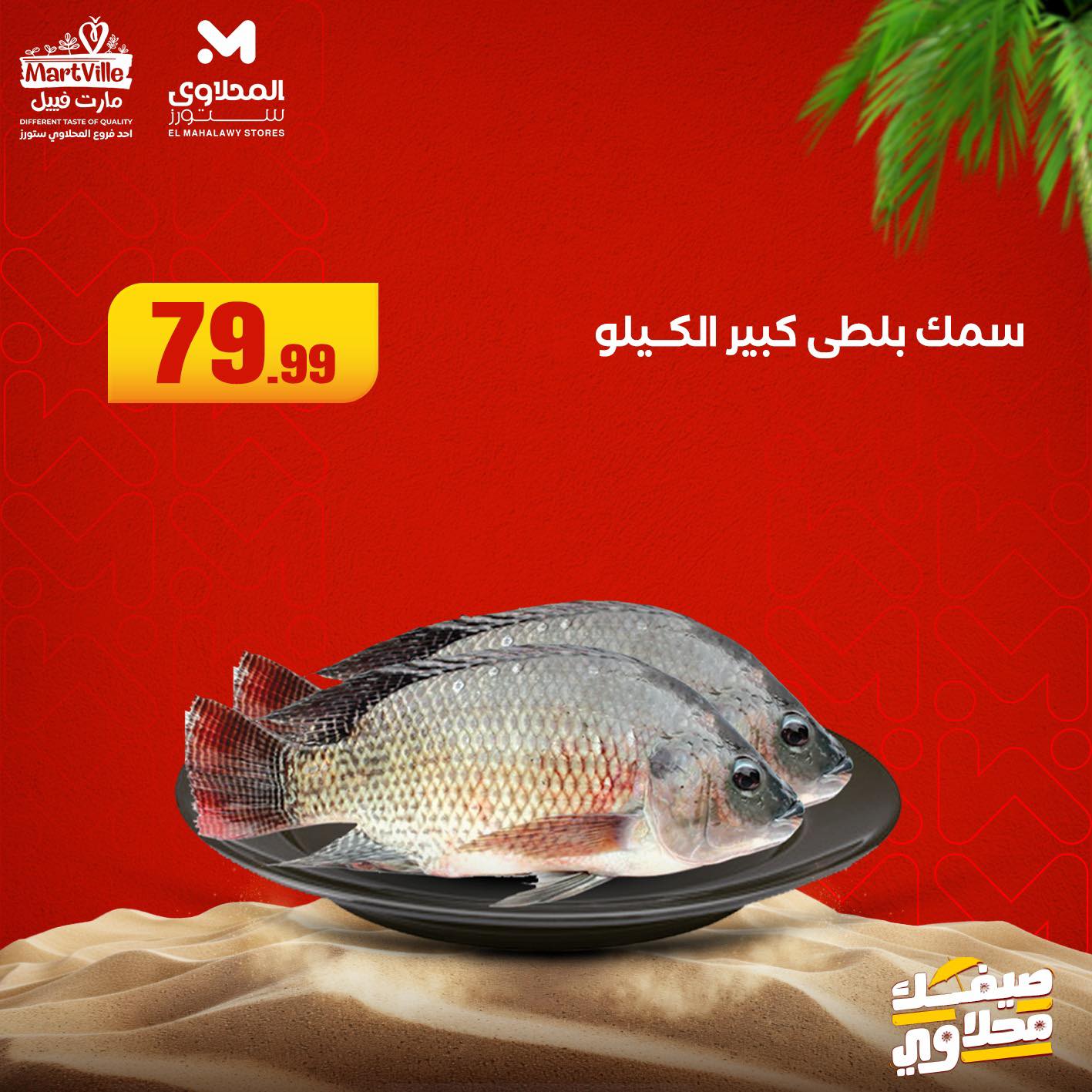 el-mahallawy offers from 12aug to 1aug 2025 عروض المحلاوي من 12 أغسطس حتى 1 أغسطس 2025 صفحة رقم 4
